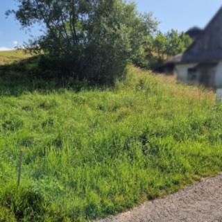 Prodej stavební parcely 373 m² Dolní Dobrouč