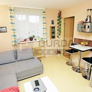 Prodej bytu 1+1 28 m² Neratovice