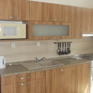 Prodej bytu 2+1 60 m² České Budějovice