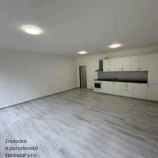 Pronájem bytu 1+kk a garsoniéry 55 m² Ústí nad Labem Střekov, Purkyňova