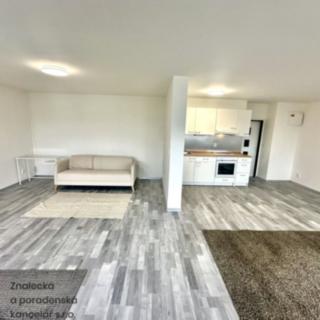 Pronájem bytu 2+kk 47 m² Ústí nad Labem Střekov, Purkyňova