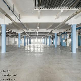 Pronájem výrobního objektu 2 069 m² Cheb, Pekařská
