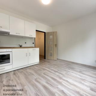 Pronájem bytu 1+1 38 m² Ústí nad Labem Střekov, Purkyňova