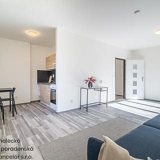 Pronájem bytu 1+kk, garsoniery 47 m&sup2; Ústí nad Labem