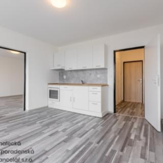 Pronájem bytu 1+1 47 m² Ústí nad Labem Střekov, Purkyňova