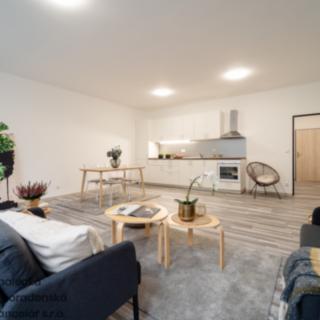 Pronájem bytu 1+kk a garsoniéry 55 m² Ústí nad Labem Střekov, Purkyňova