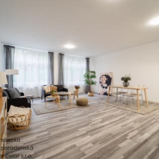 Pronájem bytu 1+kk a garsoniéry 55 m² Ústí nad Labem Střekov, Purkyňova
