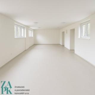 Pronájem ostatního komerčního prostoru 57 m² Ústí nad Labem Střekov, Purkyňova