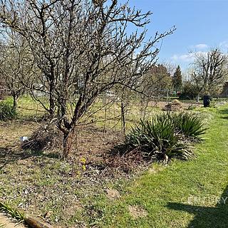 Prodej zahrady 266 m&sup2; Otrokovice