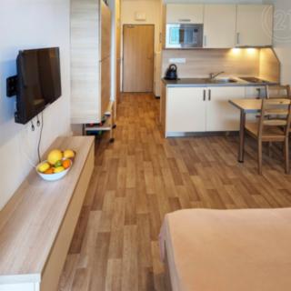 Pronájem bytu 1+kk a garsoniéry 20 m² Všemina