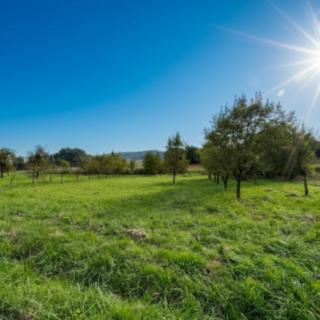 Prodej stavební parcely 1 308 m² Soběsuky