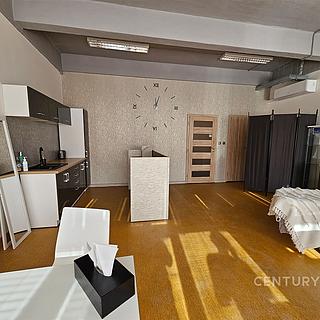 Pronájem ostatního komerčního prostoru 50 m² Zlín, J. A. Bati