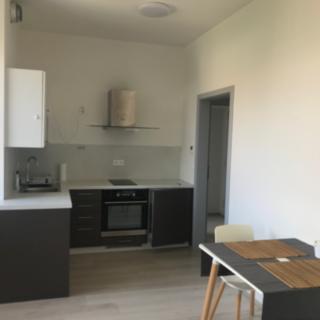 Pronájem bytu 1+kk a garsoniéry 29 m² Olomouc, Wolkerova