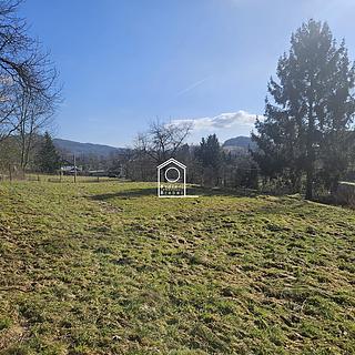 Prodej stavební parcely Velká Bukovina