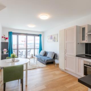 Pronájem bytu 2+kk 55 m² Praha