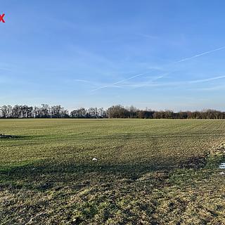 Prodej zemědělské půdy 67156 m&sup2; Velké Přílepy