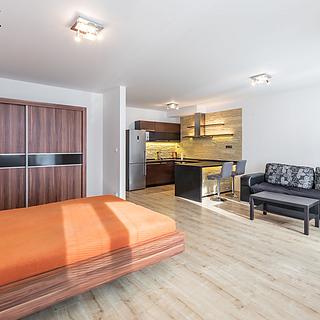 Pronájem bytu 1+kk a garsoniéry 53 m² Praha Střížkov, Makedonská