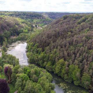 Prodej lesa 13685 m² Kokořín