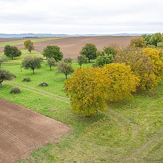 Prodej ostatního pozemku 6 588 m² Panoší Újezd