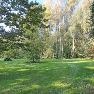 Prodej ostatních pozemků 9784 m² Brandýs nad Labem-Stará Boleslav