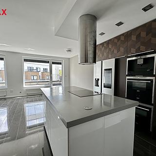 Pronájem bytu 4+kk 114 m² Praha