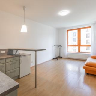 Pronájem bytu 1+kk a garsoniéry 28 m² Praha Kunratice, Pod Haltýřem