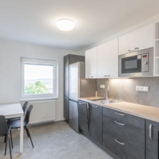 Pronájem bytu 3+kk 57 m² Praha