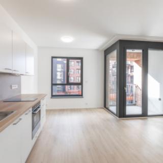 Pronájem bytu 1+kk a garsoniéry 31 m² Praha Smíchov, U Lihovaru