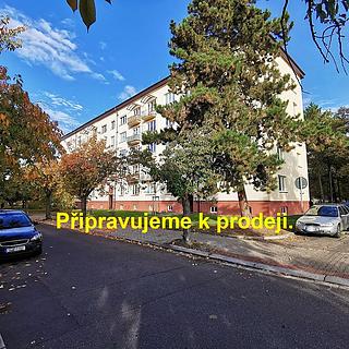 Prodej bytu 2+1 53 m² Pardubice