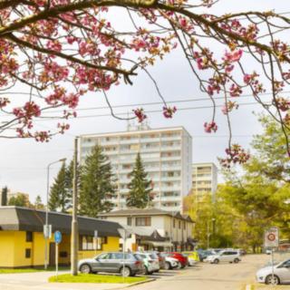 Prodej bytu 3+kk 60 m² Pardubice Polabiny, Bělehradská