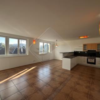 Prodej bytu 5+1 a více 152 m² Praha Radlice, Na Farkáně III