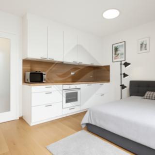 Prodej bytu 1+kk, garsoniery 28 m² Praha