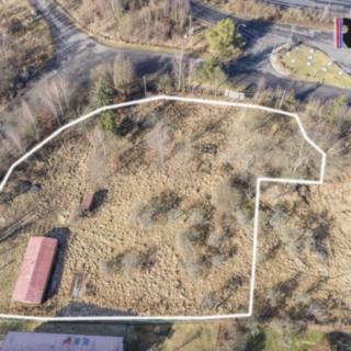 Prodej komerčního pozemku 3 908 m² Dalovice Všeborovice, Dolní