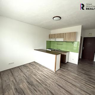 Pronájem bytu 1+1 40 m² Sokolov