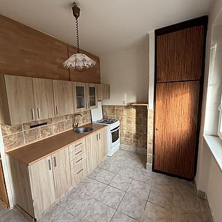 Pronájem bytu 1+1 44 m² Habartov, Raisova