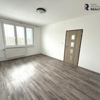 Pronájem bytu 1+1 35 m² Sokolov, Švabinského