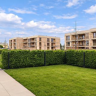 Pronájem bytu 2+kk 58 m² Brandýs nad Labem-Stará Boleslav Brandýs nad Labem, Dřevčická