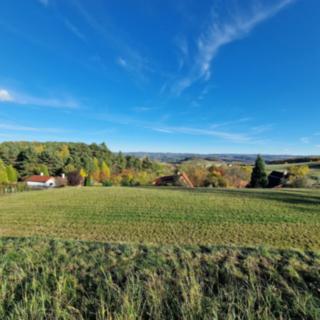 Prodej stavební parcely 2271 m² Zduchovice