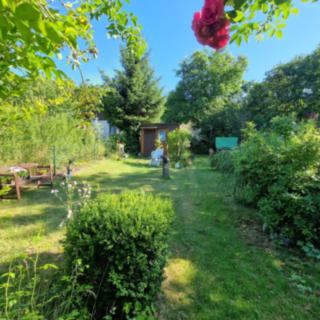 Prodej zahrady 273 m² Příbram I, Podskalí