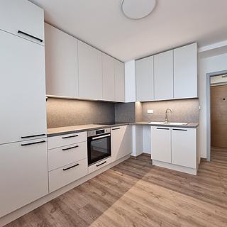 Pronájem bytu 1+1 35 m² Příbram VIII, Čechovská