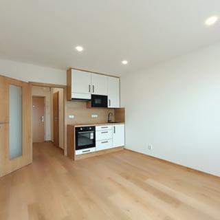 Pronájem bytu 1+kk a garsoniéry 24 m² Rakovník II, Dukel. hrdinů