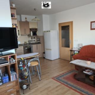 Pronájem bytu 2+kk 57 m² Příbram