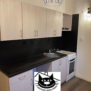 Prodej bytu 2+1 52 m² Příbram I, Plzeňská