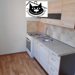 Pronájem bytu 2+kk 50 m² Příbram VII, Prof. Skupy