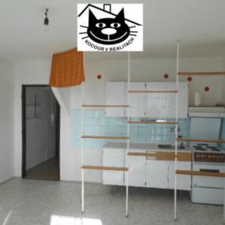 Pronájem bytu 1+kk a garsoniéry 27 m² Příbram VIII, Čechovská