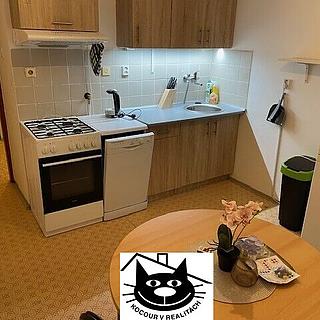 Pronájem bytu 1+1 44 m² Příbram VIII, Čechovská