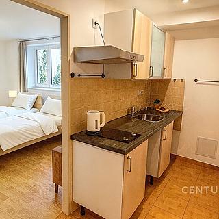 Pronájem bytu 1+1 42 m² Praha