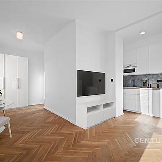 Prodej bytu 1+kk a garsoniéry 50 m² Praha Nusle, Na dolinách