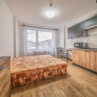 Pronájem bytu 1+kk a garsoniéry 25 m² Ústí nad Labem Ústí nad Labem-centrum, Čajkovského