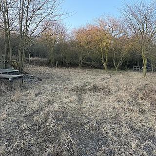 Prodej zahrady 3 183 m² Litoměřice Předměstí